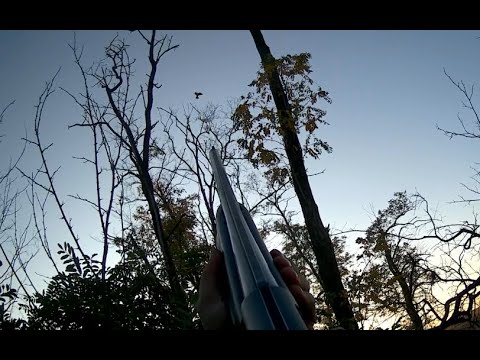 Видео: ЗАЧЁТНАЯ ОХОТА НА ВЯХИРЯ