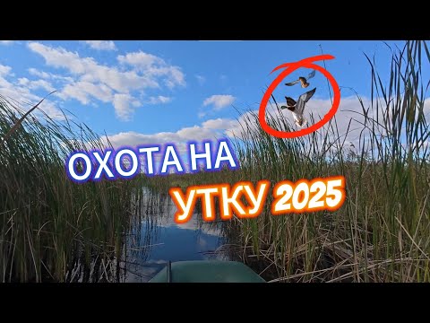 Видео: Моя лучшая охота на уток: плавание на лодке, езда на Ниве и 4 утки в трофеях!