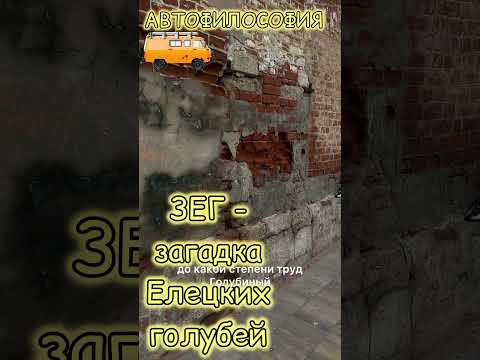 Видео: ЗЕГ - загадка Елецких голубей #gopro #путешествия #авто #юмор #прикол #тикток #уаз #ржака #тайна