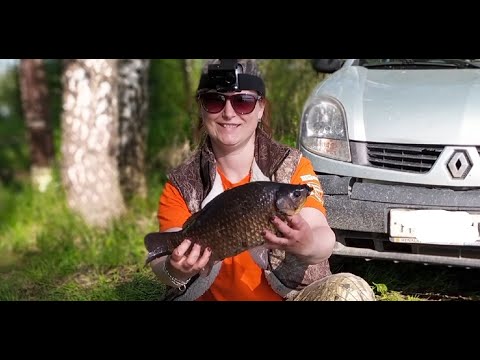 Видео: Карась на полтора килограмма!!!