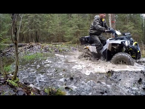 Видео: Avantis H200 New, одиночный лесной тест драйв!!!