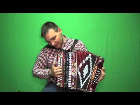 Видео: Наша миди система в гармони "ЛЕХА" Шуйская