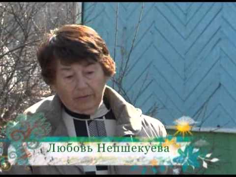 Видео: Зеленый сад фильм № 152 "Малина. Яблоня" от 19.04.2014г. г.Хабаровск (zeleniisad.ru)