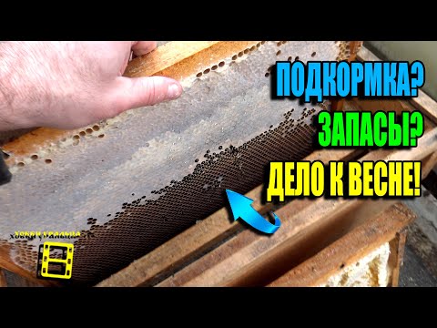 Видео: ПРОВЕРКА И ПОДГОТОВКА КОРМОВЫХ ЗАПАСОВ ПЕРЕД ВЕСНОЙ. КАК ПОДКОРМИТЬ ПЧЕЛ? ПЧЕЛОВОДСТВО 25-08