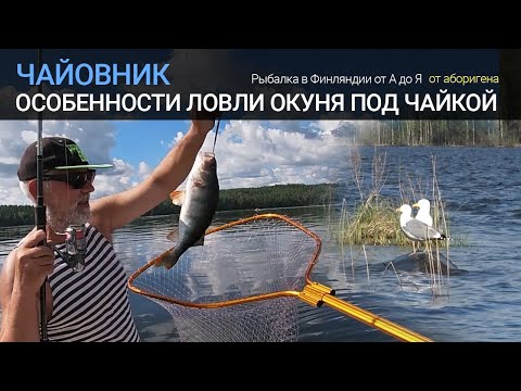 Видео: Чайовник или особенности ловли окуня под чайкой. Рыбалка в Финляндии. Озеро Саймаа.