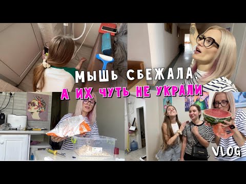 Видео: Сбежала мышка. Мастерю клетку. Результат пункции. Первый арбуз и побег девочек.