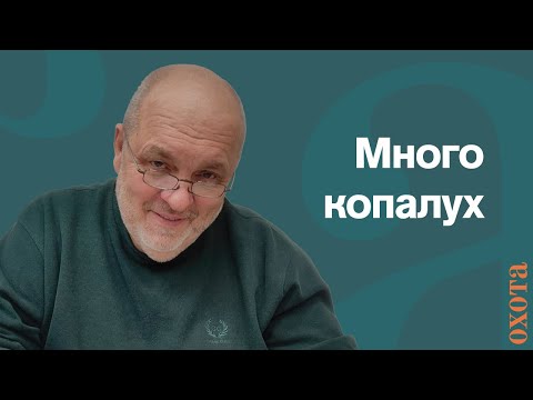 Видео: Много копалух. Валерий Кузенков об уравнении количества.