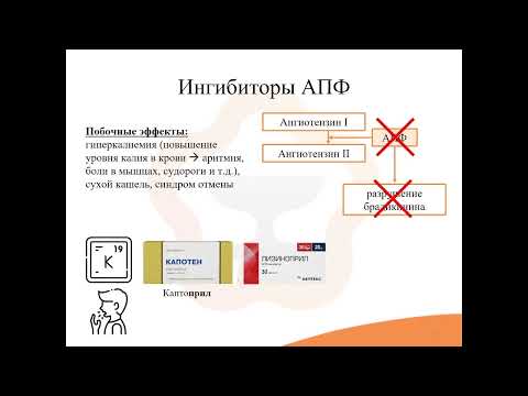 Видео: 25. Антигипертензивные средства, влияющие на ренин-ангиотензин-альдостероновую систему (РААС)