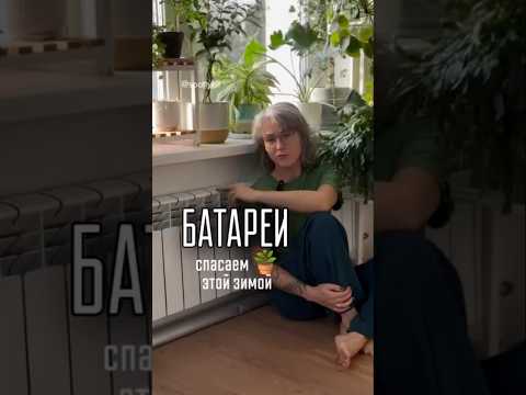 Видео: Батареи и растения