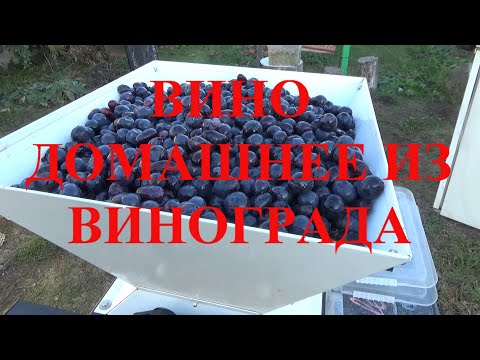 Видео: Домашнее вино из винограда.