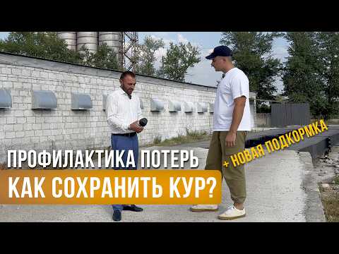 Видео: Из-за этих ошибок вы теряете кур! Профилактика падежа + НОВАЯ ПОДКОРМКА