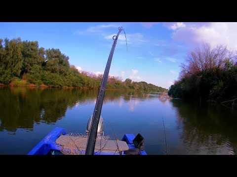 Видео: ПОЧЕМУ СТОЛЬКО СХОДОВ...
