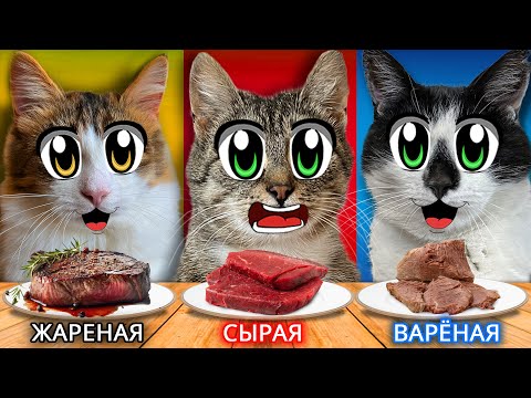 Видео: Челлендж: Сырая vs Вареная vs Жареная Еда — Что ВЫБЕРЕТ КОТ?