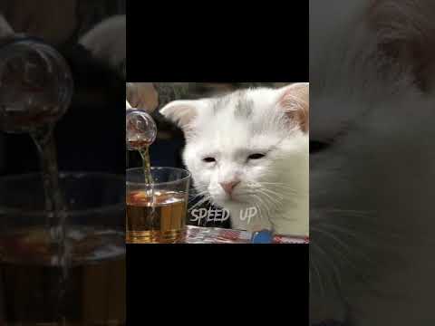 Видео: Оптимист - макс корж / speed up