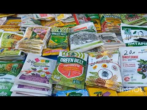 Видео: 27 ОКТЯБРЬ ТОШКЕНТ ЧОРСУ ГУЛ БОЗОРИГА САЙЕХАТ🌷🪻🍀🍁🪴🌺🌹🏵🪷🌸💐🌻🌼🌳