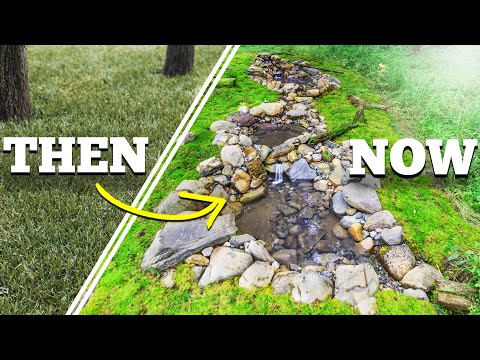 Видео: Я построил в лесу пруд для купания птиц!