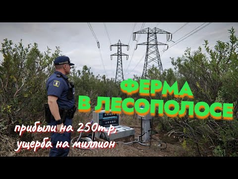 Видео: Намайнили в кустах на миллион убытков?