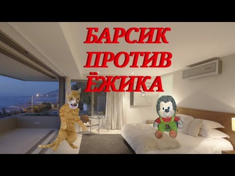 Видео: БАРСИК ПРОТИВ ЁЖИКА