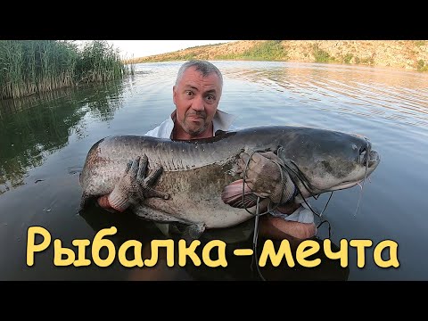 Видео: Рыбалка с ночёвкой на сома. Сом на квок