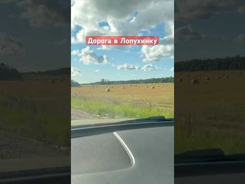 Видео: 21 августа 2025 г.