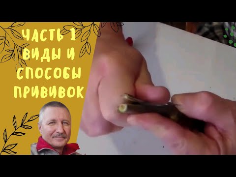 Видео: Часть 1. Виды и способы прививок.