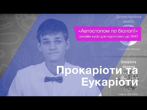 Видео: Прокаріоти та Еукаріоти – Підготовка до ЗНО – Біологія