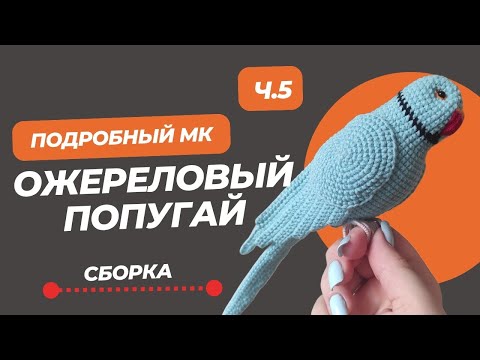 Видео: Подробный мастер-класс по вязанию ожерелового попугая. Как связать птицу крючком