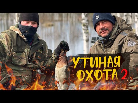 Видео: ЛЁХА ХИТРЕЙ ЛЮБОЙ УТКИ | ПРОВЕРЯЕМ СЕТИ | ВАРИМ УХУ