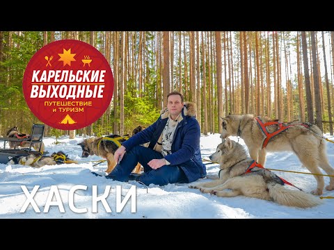 Видео: Карельские выходные | Пряжинский район | Хаски | День 1