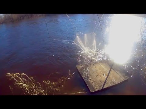 Видео: ЭТИ МОНСТРЫ ЧУТЬ НЕ ЗАТАЩИЛИ ПОДЪЕМНИК ПОД МОСТ… РЫБАЛКА НА ПАУК.