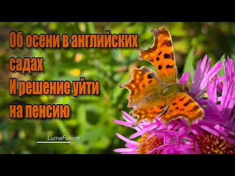 Видео: Vlog 590 - Два сада – одно решение