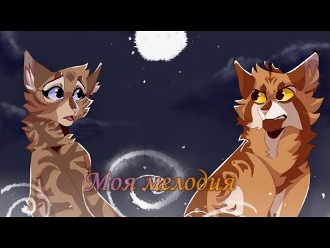 Видео: Клип Коты Воители|CW|"Моя Мелодия"|Львиносвет и Верескоглазка| Lionblaze and Heathertail|заказ