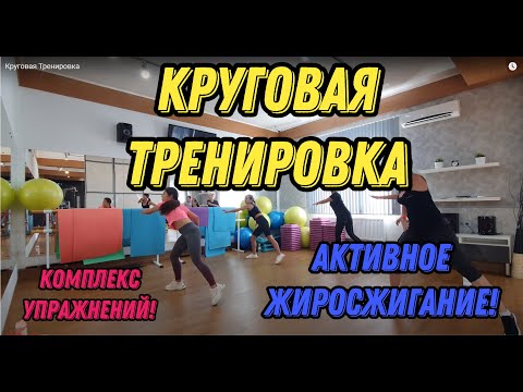 Видео: Круговая Тренировка - комплекс упражнений на жиросжигание! #круговаятренировка #тренировкаонлайн