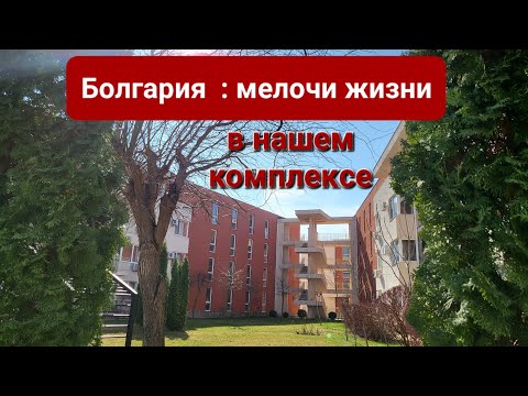 Видео: Болгария: мелочи жизни в нашем комплексе