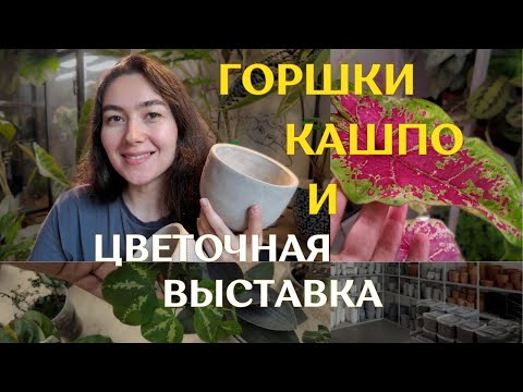 Видео: НЕУДАЧНАЯ выставка РАСТЕНИЙ | накупила КРАСИВЫХ и НЕДОРОГИХ кашпо | ПОДБИРАЮ кашпо к РАСТЕНИЯМ