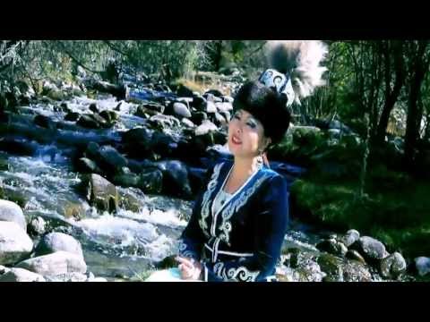 Видео: Гулшада Таласова Кыздын сыры)