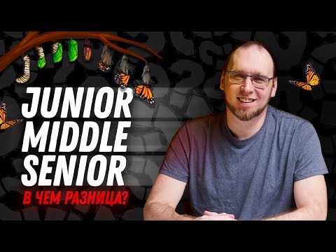Видео: Junior, Middle, Senior - что делают на работе?