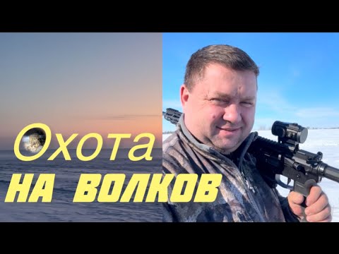 Видео: ОХОТА на ВОЛКОВ. Часть 2. Вся стая перебита.
