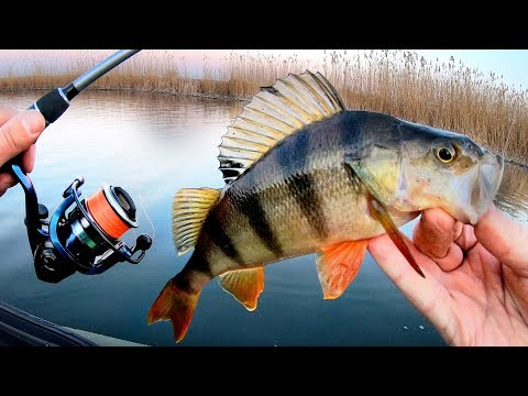 Видео: УЛЬТРАЛАЙТ РЫБАЛКА ПЕРЕД НЕРЕСТОМ!!! ЖОР ОКУНЯ на РЕКЕ ВЕСНОЙ