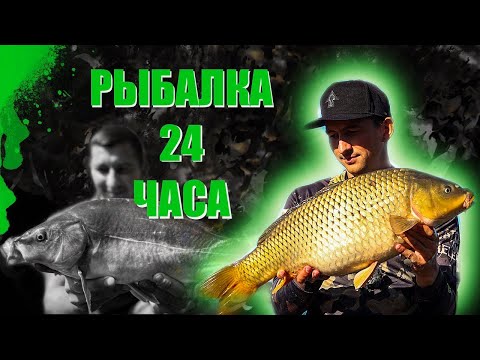 Видео: 24 ЧАСА НА РЫБАЛКЕ. ЛОВЛЯ КАРПА ОСЕНЬЮ 2022 .
