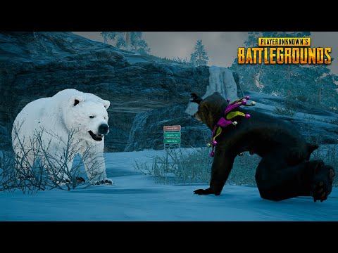 Видео: PUBG: ЛУЧШИЕ МОМЕНТЫ #348