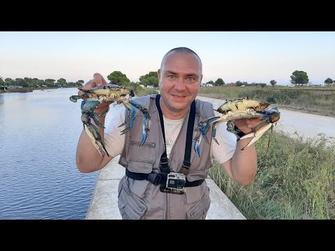 Видео: Ловля крабов на самодельные краболовки