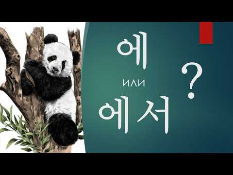 Видео: Корейская грамматика в тренажерах. 에 или 에서? Дательный и местный падежи.