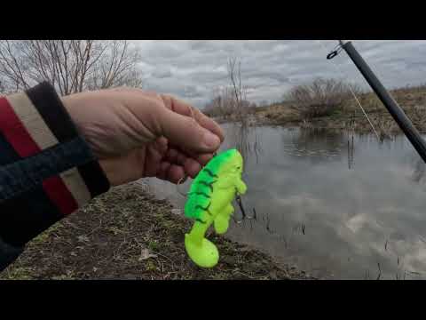 Видео: Рыбалка на зелёного карасика | Осенний день, окунь и десятки забросов.