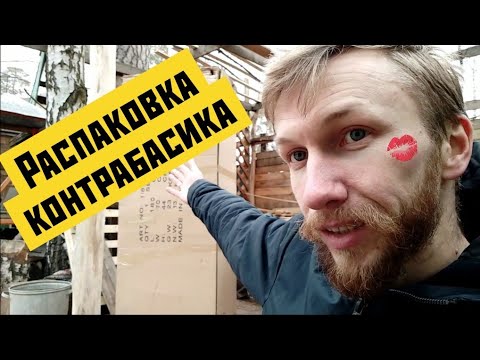 Видео: Распаковка детского контрабаса 1/8