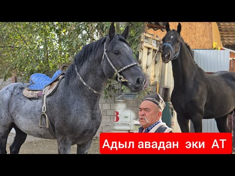 Видео: САТЫЛДЫ ЧАЛМАЙ ЖОК 