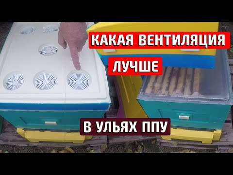 Видео: Вентиляция улья зимой  В разных ульях при разной вентиляции #1
