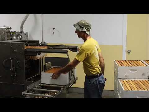 Видео: 🔹 "Як працює цех для викачки меду? 🏭 Повний огляд!"