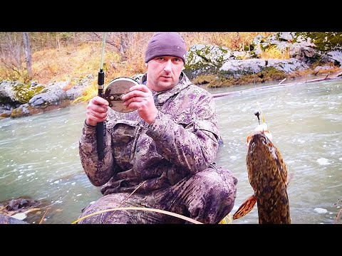 Видео: На ТАЁЖНУЮ РЕЧКУ за РЫБОЙ!!! РЫБАЛКА ОСЕНЬЮ или ЛОВЛЯ НАЛИМА НА СТУК!!! ДУШЕВНАЯ РЫБАЛКА!!!