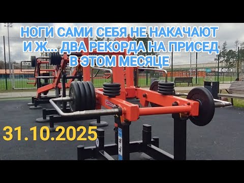 Видео: Приседания 